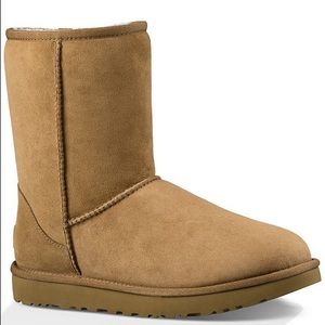 Short Brown Ugg Boots